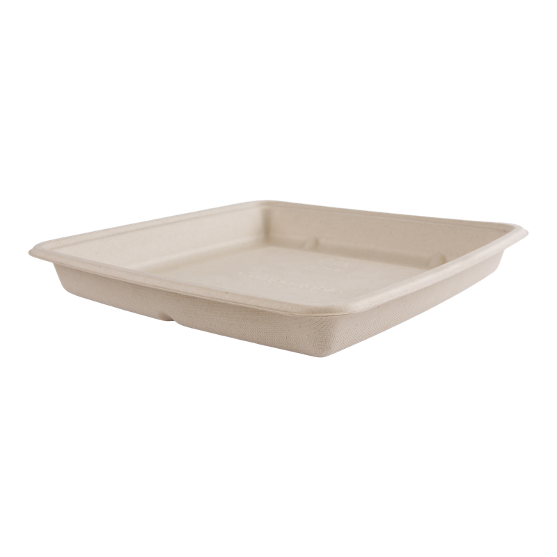 Schaal Vierkant Suikerriet 22,3x22,3x2,8cm Naturel 1